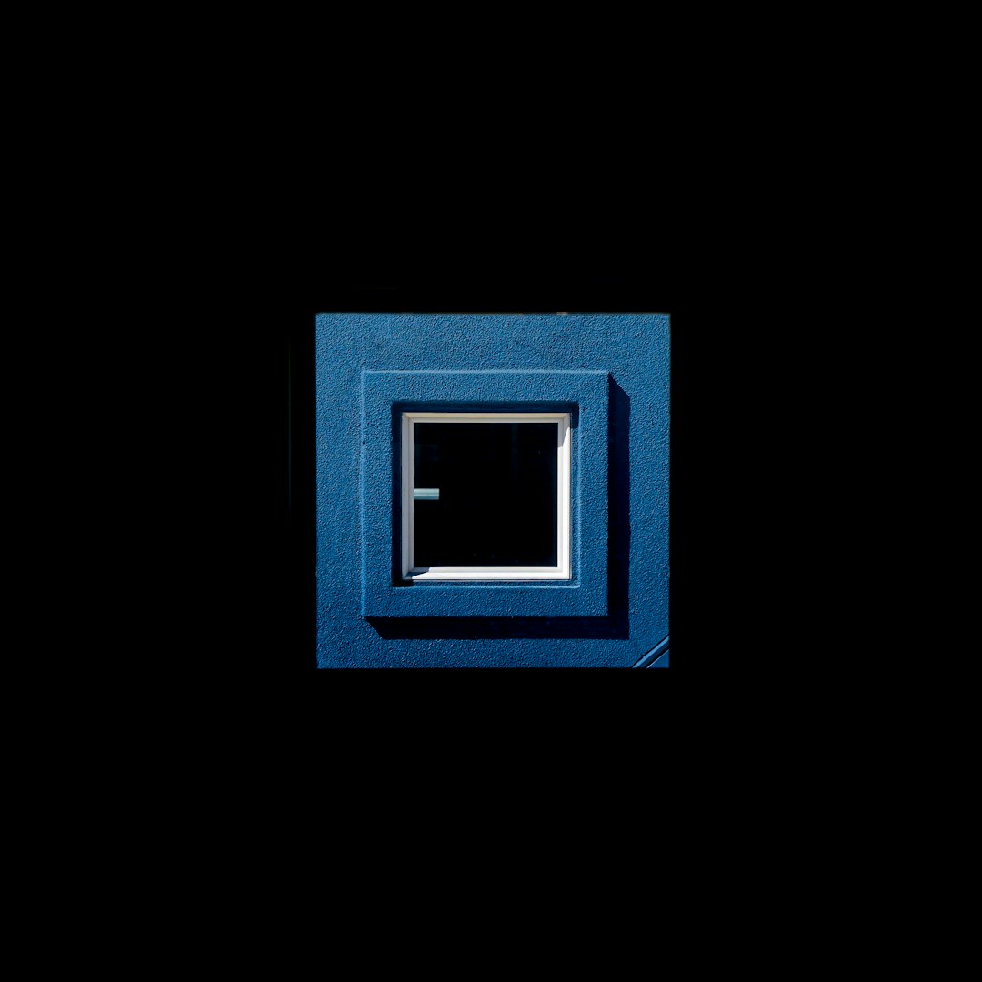 Introspective Imagery