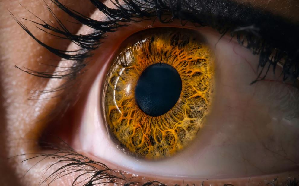 The MIR | Mental Vision